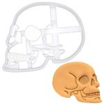 BAKERLOGY Anatomical Human Skull Cookie Cutter - Detailed Biscuit Cutter Design for Baking and Crafts, Ideal on Fondant, Dough, Clay