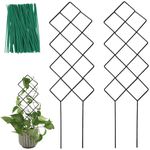 WellSign Metal Trellis for Climbing Plants Indoor, 16.36 inch Small Trellis for Potted Plants Geometric Shape Lattice for Ivy Vines Hoya Houseplants Flower 2 Pack