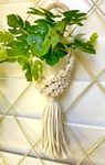 ARTICRAFT Handcrafted Bohemian-Inspired Macrame Plant Hangers | Hanging Plant Holders for Indoor & Outdoor Decor Succulents, Herbs, & Small Potted Plants | Boho Home and Garden Accessories Pack of 2