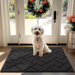 hicorfe Indoor Door Mat,Non Slip Door Mats,32"x40" Front Back Door Mat Rubber Backing,Absorbent Resist Dirt Entrance Inside Floor Mats for Entryway Washable Low-Profile(Charcoal)