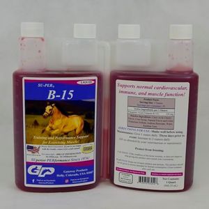 SU-PER B-15 Vitamin Supplement for Horses - Equine Vitamin B-15 Liquid for Performance Support - Supports Normal Cardiovascular Immune & Muscle Function - 1 Quart, (2 Pack)