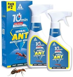 Amish Ant 