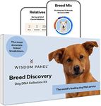 Wisdom Panel Breed Discovery Dog DN