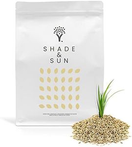 Shade-Tolerant Grass Seeds 50 m² – Premium UK Lawn Seed with Biostimulant Coating for 38% Higher Germination – Perfect for Thickening Shaded Areas & Thin Patches Around Borders, Fences and Trees