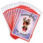 Vintage Retro Christmas Boxed Greeting Card Multi-Pack Set (4x6) by Wright Home & Gift | 10 Cards + 11 Envelopes (Decorated Reindeer)