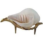 Holystore Natural Shell Blowing Shankh Bajanewala Sangu Couch with Brass Stand for Pooja (5 inch)