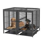 BingoPaw giant Dog Crate with Divider: 52inch Extra Large Heavy Duty Metal Pet Cage with Removable Divider Panel - Indoor Higher Inner Space Doggy Playpen Kennel with Two Doors and Trays for 2 Dogs