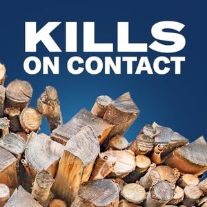 Slide 5