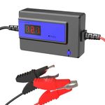 Automatic Battery Desulfator Maintainer for GEL, AGM, SLA Lead Acid Batteries (12-48V 200AH BIG CLAMP BLUE)