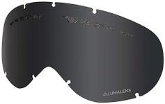 Dragon DX Snow Goggle Replacement Lens (Lumalens Dark Smoke)