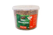 Extra Select Dried Mealworms Wild Bird Feed Treat, 3 Litre