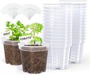 homenote Clear Nursery Pots for Pla