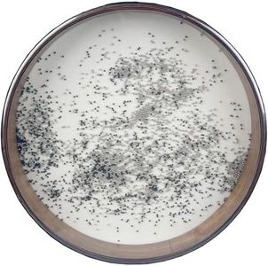 HighLight 16" Ocean Drum with Goatskin Wood Shell and More Steel Beads Sound Healing Instrument for Yoga Meditation Relaxation Sea Drums