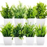 Fake Plants Mini Potted Artificial Plants, 8 Pack Artificial Plastic Eucalyptus Plants Small Houseplants Greenery in Pots Indoor, Small Faux Plants Decor for Home Bathroom Office Farmhouse Desk Shelf