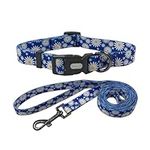 Ovale Dog Collar Leash Combo Set, Daisy Floral Pattern, Collar and 5 ft Matching Leash, for Small Dogs.(S, Blue Daisy)