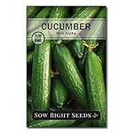 Sow Right Seeds - Beit Alpha Cucumb