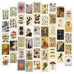 50Pcs 4x6 Inch Posters Vintage Decor Wall Collage Kit Pictures, Botanical Wall Art Posters for Room Aesthetic Decor for Bedroom Cottagecore Decor