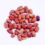 RK Seeds - Sesbania grandiflora -Agati seeds -Sesban, Swamp-pea Seeds -sesbania grandiflora seeds,sesbania seeds,Fodder Seeds- Hummingbird Tree seeds Pack of 1 Kg