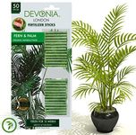 Devonia Fern & Palm Plant Fertiliser Sticks, green