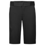 GORE WEAR Men's Bicycle Shorts, C5, Black, L