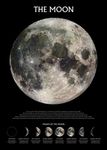 Pyramid International "Phases The Moon Maxi Poster, Multi-Colour, 61 x 91.5 x 1.3 cm