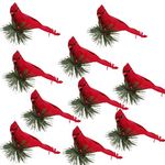 MSUIINT Artificial Cardinal Christmas Ornaments 10pcs Artificial Red Cardinal Birds Clip on Pine Branches Realistic Feathered Birds with Clip for Xmas Tree Decorations Home Wreath Ornament (Red)