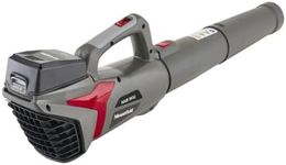 Mountfield 20 Li Cordless Axial Blower, 20V (2Ah) battery, 280W, 32m/s max air speed, Variable speed, Battery and charger included