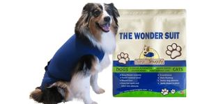 Inventors of The E Collar Alternative, Antimicrobial Protects Your Pet's Wounds & Bandages. Hugs Away Your Pets Anxiety. Plus It's Easy On and Easy Off