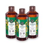 Yves Rocher Shower Gel Trio | Bath & Body Wash | Sulfate Free | Vanilla Scent | Bottle, 13.5 fl oz (Vanilla Trio)