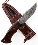 BIGCAT ROAR Handmade Damascus Hunti