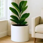 Fox & Fern 14.6 Inch Extra Large Pl