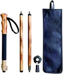 FOREST PILOT Trekking Poles- 1-pc P