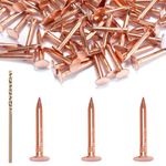 BELLA BAYS Copper Nail Set - 60 Pcs 1-Inch Copper Roofing Nails & 1/16 Inch Drill Bit, C11000 99.95% Pure Copper Nails for Roof Repair,Roof Flashing, Tree Maintenance, Stump Removal, and DIY project