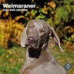 Baker and Bray Weimaraner Calendar 2025, Large Square Wall Calendar, 16 Month, Weimaraner Gift Dog Calendar.