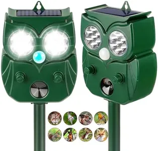 2Pack 2025