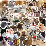 Meme Cat Stickers,50PCS Cat Graffiti Vinyl Waterproof Decals for Water Bottles Computer Bicycle Skateboard Luggage Phone Pad Laptop Kids Teens Stickers Pack