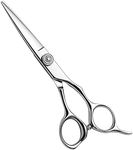 AOLANDUO 5.5 Inch Pro Hair Scissor -High End Aichi Steel Handmade Hair Cutting Scissor-Razor Edge/Offset Design/Pro Ergonomic for Salon Stylists Beauticians and Barbers