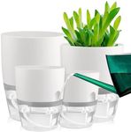 SpringUp Self Watering Planter Pots for Indoor Plants, 3 Pack African Violet Pots, Succulents, Herbs with Wick Rope (White, 11.3X8.2cm)