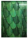 S2S Wedding Backdrop Cloth for All Festivals/House Hold Functions/Haldi Function/Ceremonies Banana Leaf Design(Aaritaku) Design 5 Feet Width * 8 Feet Length/Height