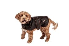 Fatface Sussex Brown Waxed Cotton Orange Check Lining Naturally Water Resistant Dog/Puppy Coat 35 cm