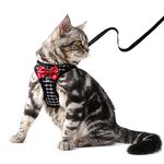 BLUWTE Cat Harness and Leash Escape Proof,Breathable Dog Harness,Cats Harness Escape Proof,Pet Harness,Adjustable Mesh Vest Harness for Puppy Cat Rabbit (Black, M)