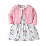 Infant Baby Girls Sleeveless Dress Princess Sundress Thin Skirt and Cardigan 2PCS Outfits Set 12-18 Months Pink