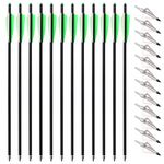 12pcs 20inch Carbon Crossbow Arrows Crossbow Bolts with 4inch Vanes and 12pcs 3 Blades Archery Broadheads 100 Grain Screw-in Arrow Heads Arrow Tips (Arrows with Silver Tips)