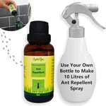 Ant Repellent Spray. Makes 10 litres. 100% Natural, Safe & Ultra Effective. Smells Wonderful. Indoor & Outdoor.