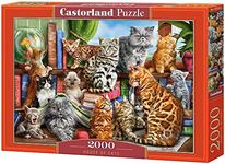 Castorland House of Cats 2000 Piece C-200726-2