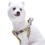 Blueberry Pet Soft & Comfy Step-in Loving Daisy Prints Padded Dog Harness, Chest Girth 20" - 26", Medium, Adjustable Harnesses for Dogs