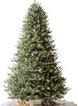 Balsam Hill BH Balsam Fir Full Tree