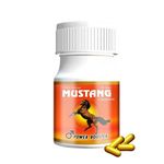 Mustang Power Booster Capsules Boost Men Muscle Growth and Energy Ayurvedic 30 Capsules