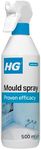 HG Mould Remover Spray | Kills Blac