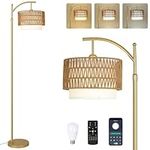 Gold Floor Lamps for Living Room wi